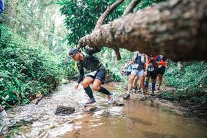 BIB: 
                            <button type="button" onclick="openModal(25372235)" class="btn btn-primary btn-sm float-right btn-popup" data-toggle="modal" data-target=".modal-high-quality">
                        <i class="fas fa-shopping-cart"></i> Add to Cart
                    </button>
                                            <button type="button" onclick="isThisMe(25372235, true)" class="btn btn-success btn-sm float-right btn-popup btn-isme hidden" data-toggle="tooltip" data-placement="bottom" title="นี่คือรูปของคุณใช่ไหม คลิกที่นี่เพื่อเอาเข้าอัลบั้ม">
                        <i class="fas fa-plus"></i> Add to album
                    </button>
                    <button type="button" onclick="isThisMe(25372235, false)" class="btn btn-warning btn-sm float-right btn-popup btn-isnotme hidden">
                        <i class="fas fa-ban"></i> Remove from album
                    </button>